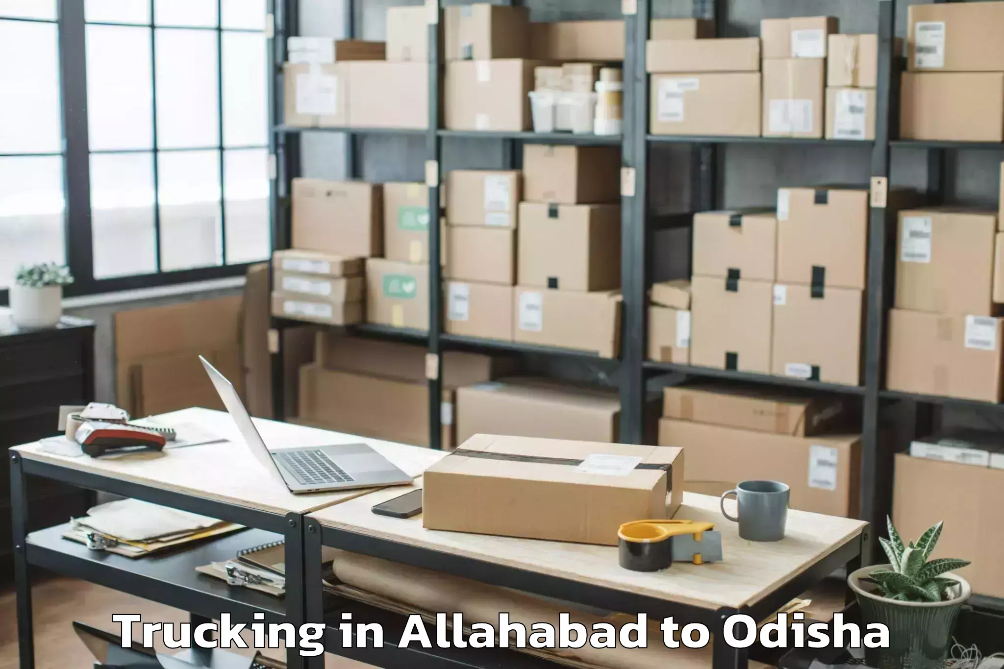 Book Allahabad to Dasapalla Trucking Online